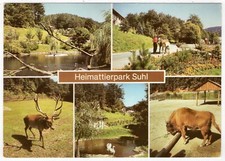 AK Heimattierpark Suhl / Teichanlage, Rothirsch, Schwan, Wisent (Tierpark, Zoo)