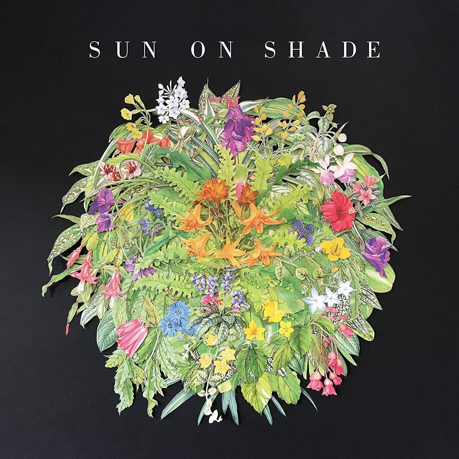 Sun on Shade Sun on Shade (Vinyl LP)