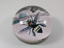 Vintage John Derian Company Inc. Paperweight Decoupage Bee Design