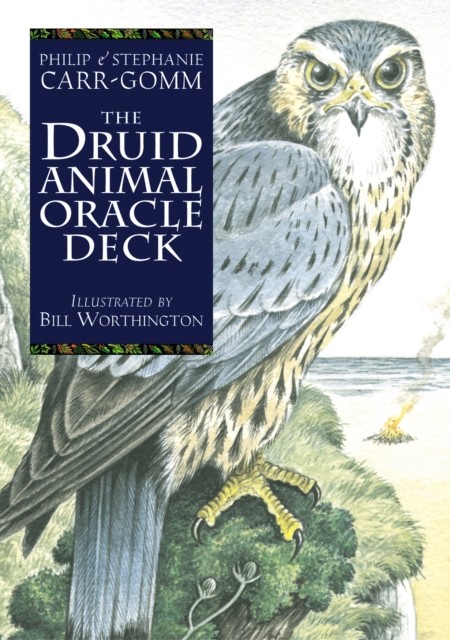 The Druid Animal Deck by Philip Carr-Gomm CARDS / POSTCARDS 9781800691254 - Image 5