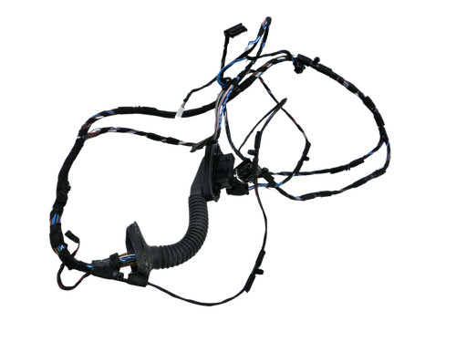 Kabelbaum Tür und Fensterheber li vo für BMW E92 330i 06-10 Coupe 61126957114