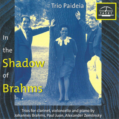 Alexander Von Zemlin Im Schatten Von Brahms Vol. 1 (Trio Paide (CD) (US IMPORT)