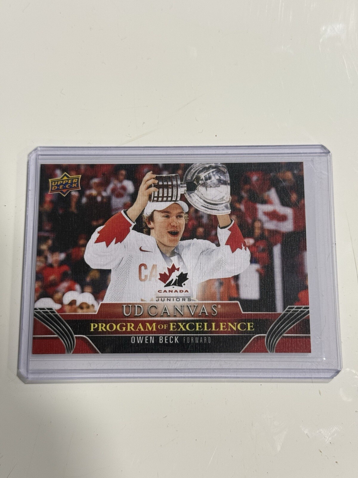 23-24 Upper Deck Series 2 - UD Canvas Program of Excellence #C260 Owen Beck RC