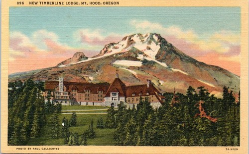 1940s Linen OR Postcard New Timberline Lodge Mount Hood Oregon Ski Area - 第 1/2 張圖片
