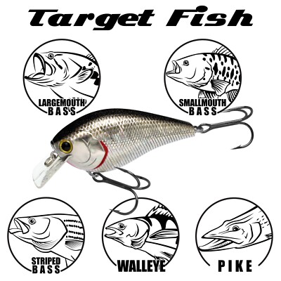 Lucky Craft LC 2.5 - 215 Black Moss – Esca A Manovella Galleggiante (Crankbait), Giapponese, 16.4g