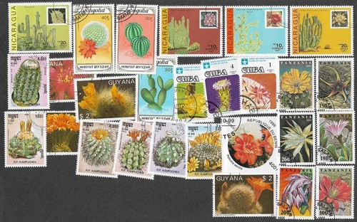 CACTI ON STAMPS 25 ALL DIFFERENT COLLECTION 5/10/24 - 第 1/1 張圖片