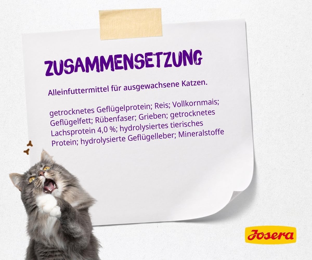 Bild 6 von 7