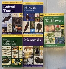 5 Vtg Peterson Field Guides: Animal Tracks Hawks Mammals Reptiles Wildflower