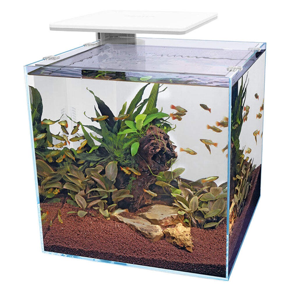 SuperFish QUBIQ 60 Pro LED Aquarium Fish Tank - White