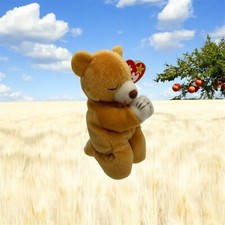 Vintage TY Beanie Baby Hope The Praying Bear 1999 PE Pellets Silver Tag Case