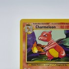 Foto 26 di 36