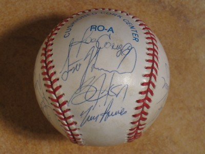 BO JACKSON 1993 WHITE SOX RAINES GUILLEN 19 TEAM SIGNED