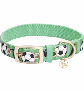 blueberry dog collar