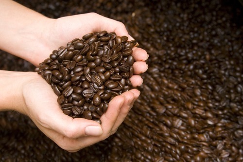 Colombian Supremo Coffee Beans - Medium Roast - 5 Lbs (Five 1-Lb Bags) Fresh Roasted