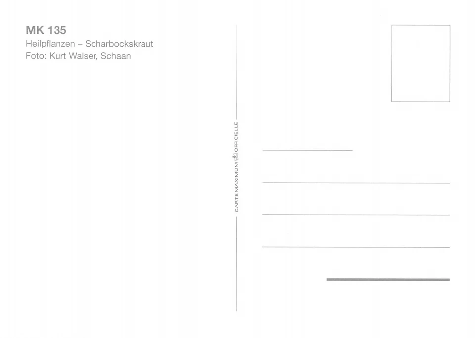 Maximum Card FDC LIECHTENSTEIN Medicinal Plants 1995 MK 135 n1 - Image 2 of 2