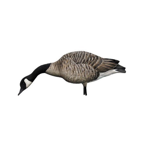 Avian X Topflight Honker Floaters Bundled with X AXP Honkers Canada Goose Decoys - Picture 10 of 12