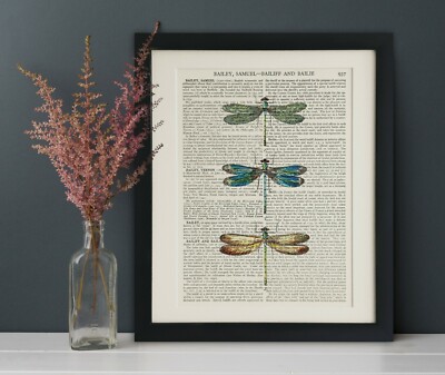 Vintage Book Page Art Print, THREE DRAGONFLIES, Dictionary Wall Art ...