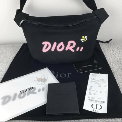 dior kaws tote