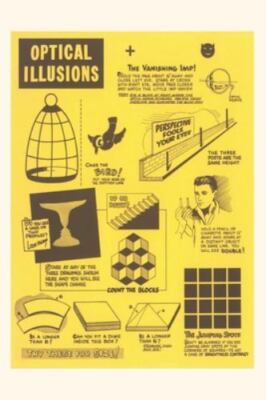Vintage Journal Optical Illusions by Found Image Press, Found Image Press, Br...