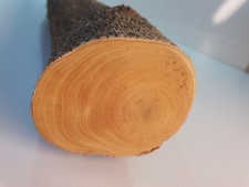 1 Stamm Drechselholz Buchsbaum Buxus Buchsbaumholz L=430mm 938g D=45mm Rissfrei