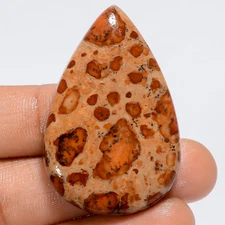 Natural Asteroid Jasper Pear Shape Cabochon Gemstone 63.5 Ct 43X27X5 mm EE-50984