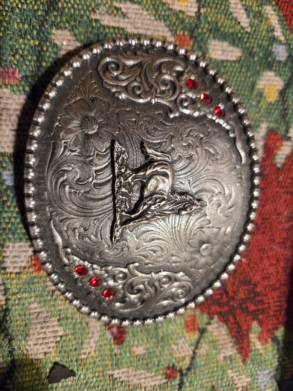 Silver Tone Etched Western Belt Buckle HORSE & RED RHINESTONES embossed