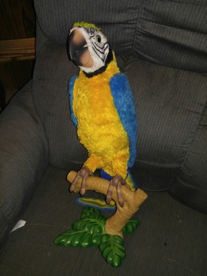 furreal squawkers mccaw talking parrot toy