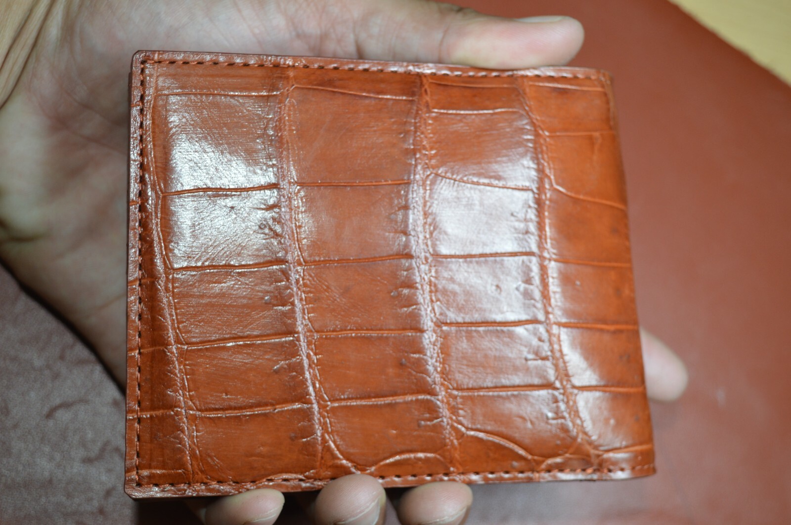 red brown / GENUINE Alligator,CROCODILE s bally Leather Skin MEN'S BIFOLD WALLET red brown / GENUINE Alligator,CROCODILE s bally Leather Skin MEN'S BIFOLD WALLET