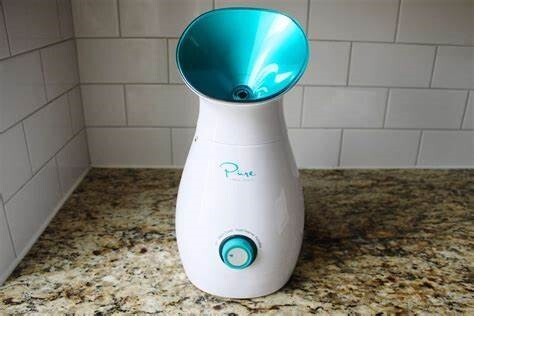 Pure Daily Care NanoSteamer Large 3-in-1 Nano Ionic Facial Steamer~MINT!