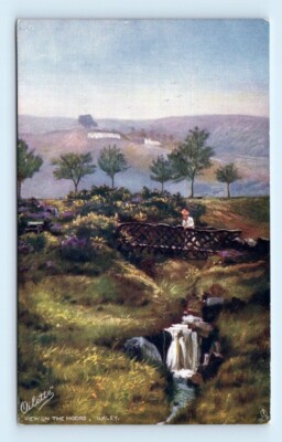 Tuck Oilette~ View on the Moors Ilkley Bradford Yorkshire England Postcard 