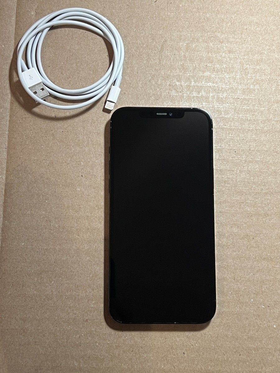 Apple iPhone 12 Pro Max 256GB Pacific Blue unlocked (A2342) | eBay