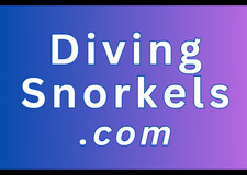 DivingSnorkels.com Premium Domain Name For Sale .COM / Domains Domaining