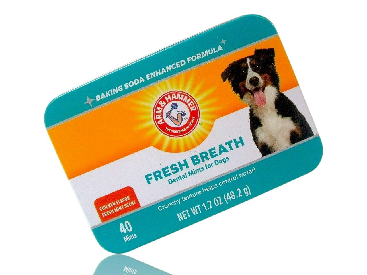 (3-Pack) Arm & Hammer Dental Care Mints for Dogs Fresh Breath Tartar Exp 03/2027