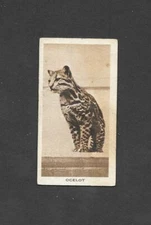 W.Sword ,Coatbridge The Ocelot No 20 of 25 card series - No title