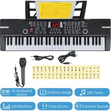 61 Key Portable Electronic Keyboard Piano Lighted Keys Kids Beginner Player Mic