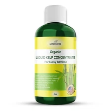 Organic Kelp Fertilizer for Lucky Bamboo | Liquid Plant Food & Growth Booster