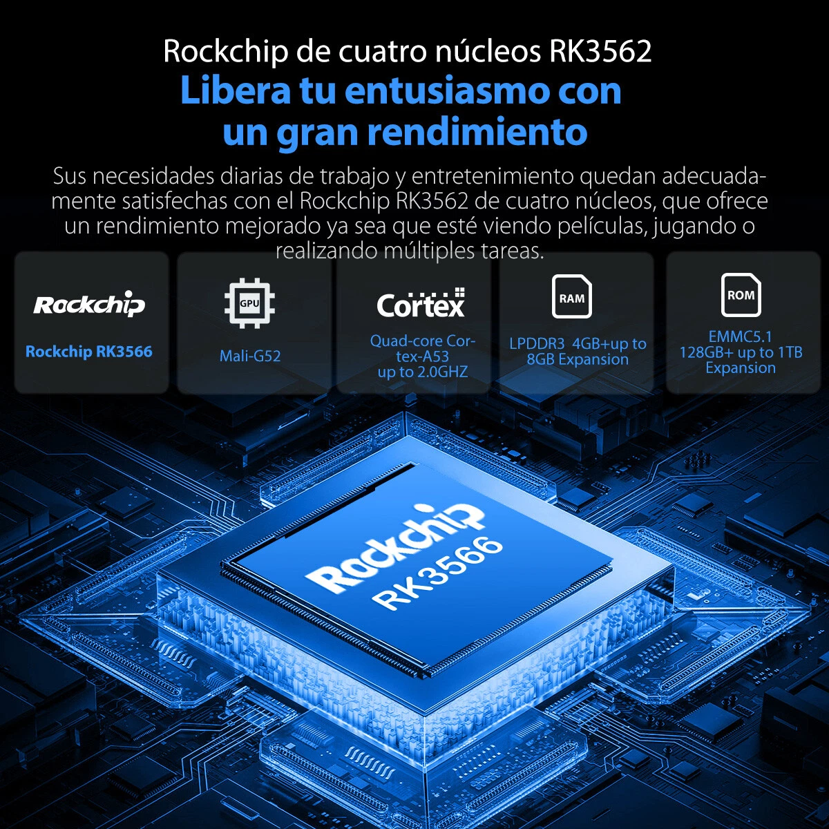 Imagen 8 de 22
