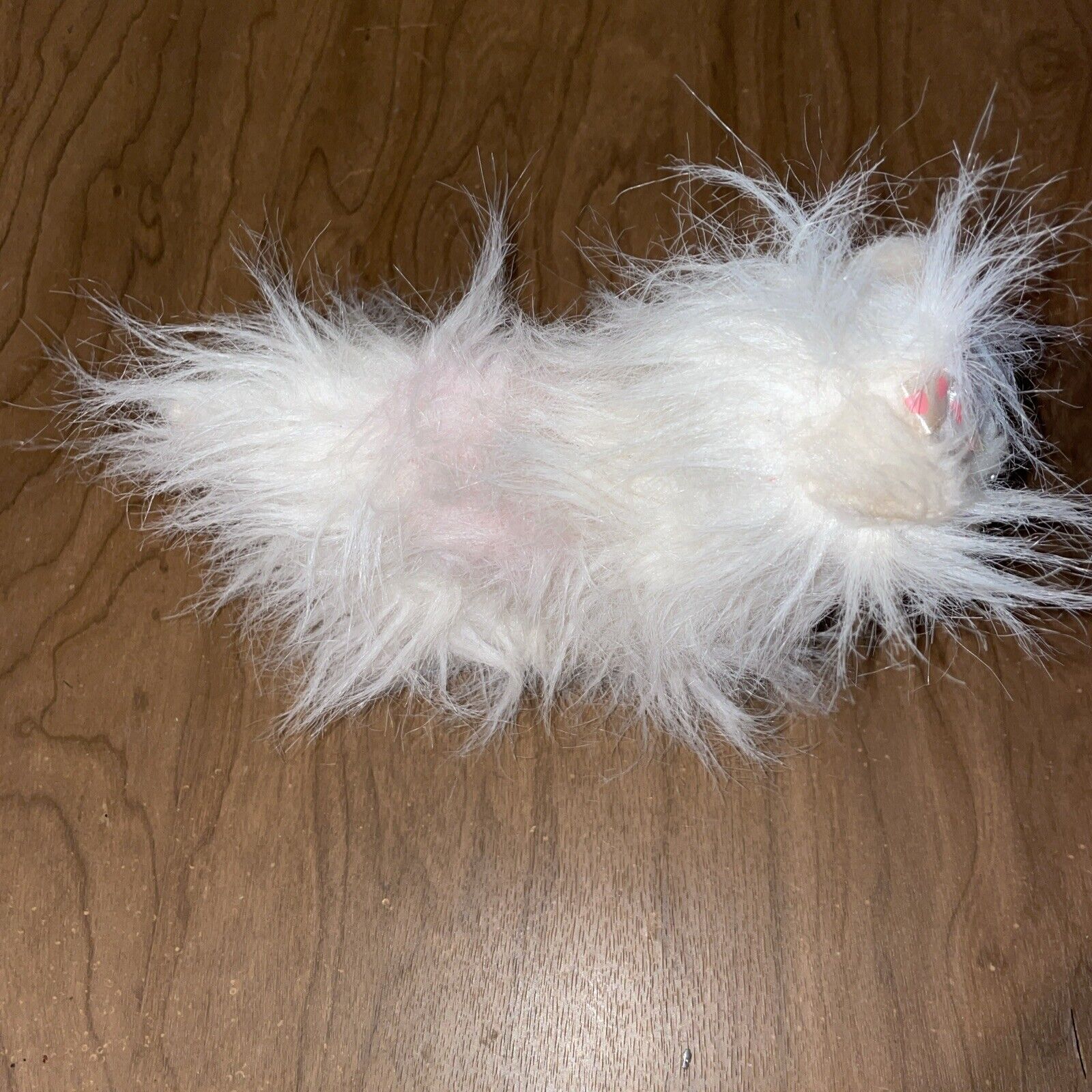 Picture 4 of 7