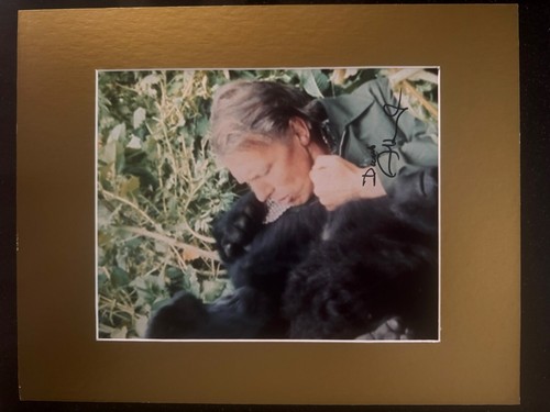 GENUINE HAND SIGNED DAVID ATTENBOROUGH PHOTO