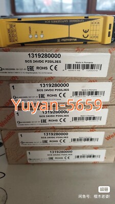 1  PC  NEW  SCS 24VDC P2SIL3ES  Safety Relay By DHL OR  FedEx#B632H  CL