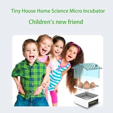 Incubator4 Eggs Digital Bird Chicken Duck Goose Quail incubator family gift110v