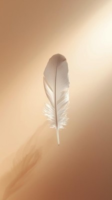 White Feather Gradient Light Glow Wallpaper Soft Minimal Aesthetic Background