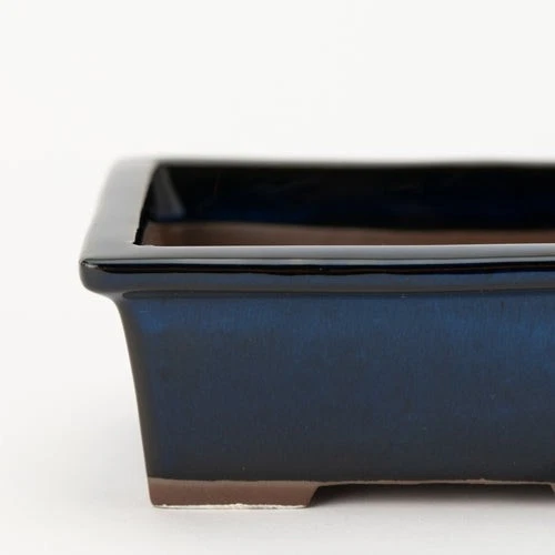 NAGINOWA Namako Longhorn 5.3″ 13.4cm Banko Ware Bonsai Pot Handcraft  From Japan - Image 4 of 4