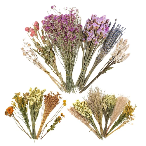 Natural Hamster Bedding Edible Flowers Herbs Sprays for Edible Grain