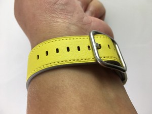 apple watch 42mm classic buckle