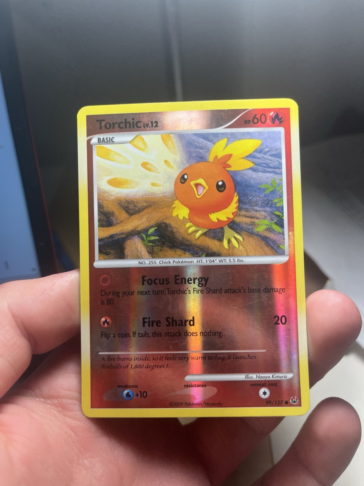 Torchic Common Reverse Holo Platinum 99/127 LP Pokémon TCG