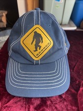 Ford Bronco Hat Blue Osfm