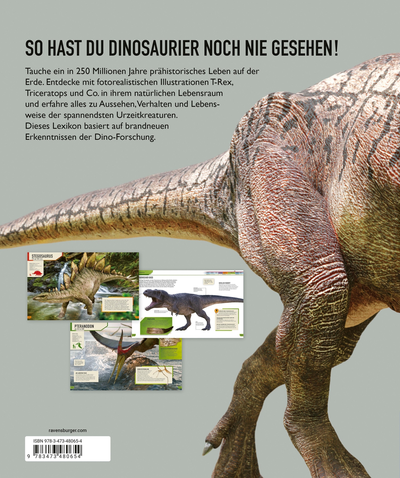 Thumbnail - Das Ultimative Dinosaurierlexikon: Auf Dem Neusten Stand Der Forschung