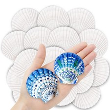 36PCS Natural Scallop Shells for Crafts, 2-3 Inch White Sea Shells for Decora...
