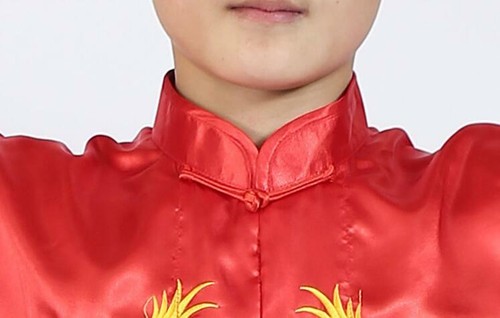 Silk Martial Arts Kung Fu Uniform Tai Chi Suit Wushu Clothes Dragon Embroidery - Picture 7 of 14